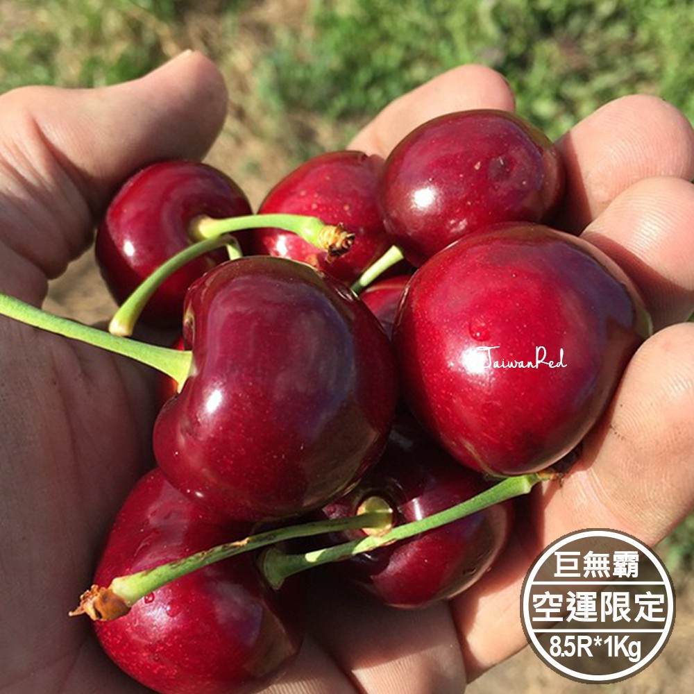 限時空運西北櫻桃